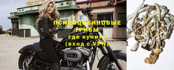 сатива Алзамай