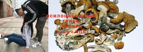 сатива Алзамай