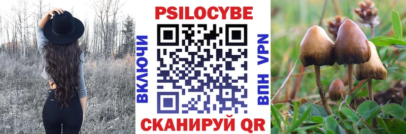 Галлюциногенные грибы Psilocybine cubensis  Осинники 